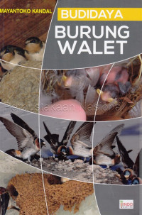 Image of Budidaya Burung Walet