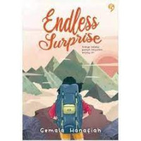 Image of Endless Surprise